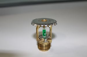 IMG_2001
